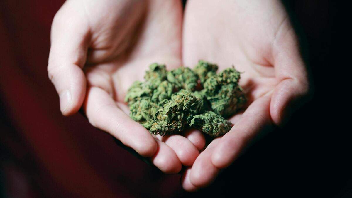 A group of CBD investors in Texas are bullish on their push to scale up their businesses which they hope opens the door to legal pot in the state. Stock image.