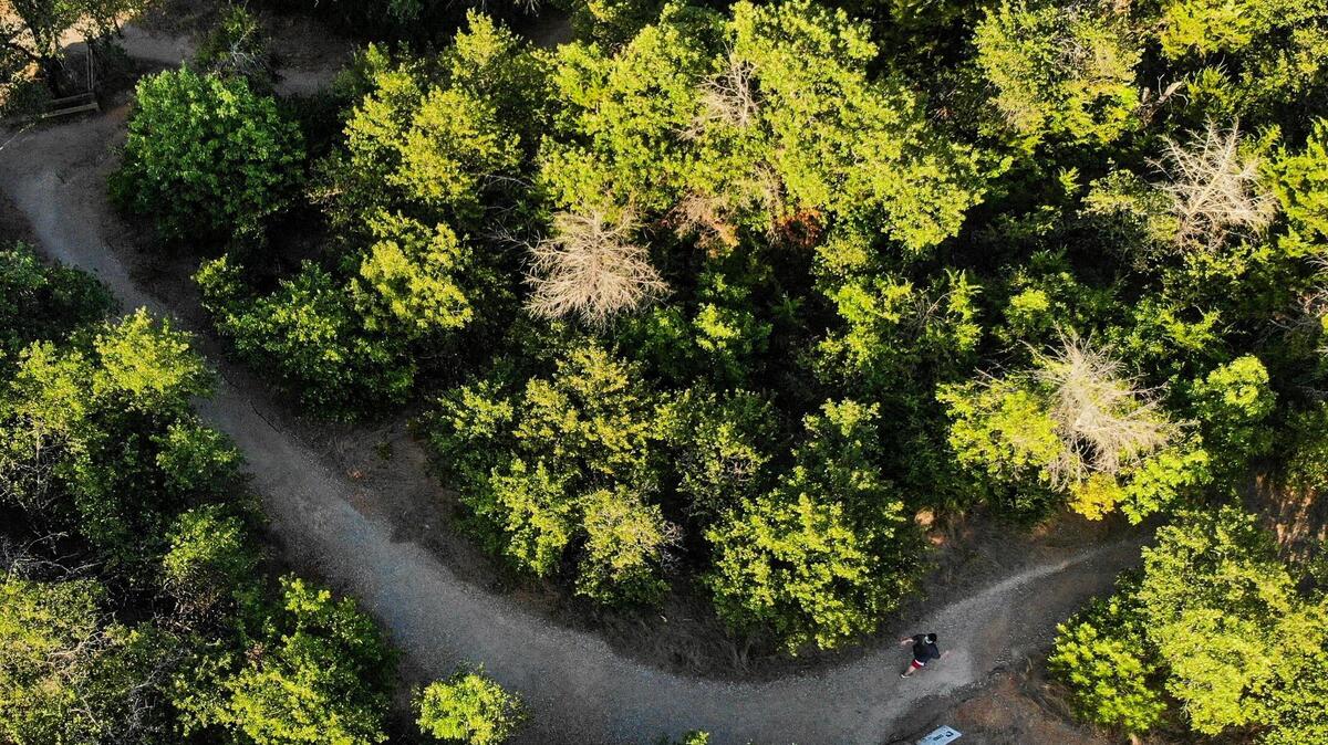 A hiker on a trail in the Crystal Canyon Natural Area trail in Arlington.