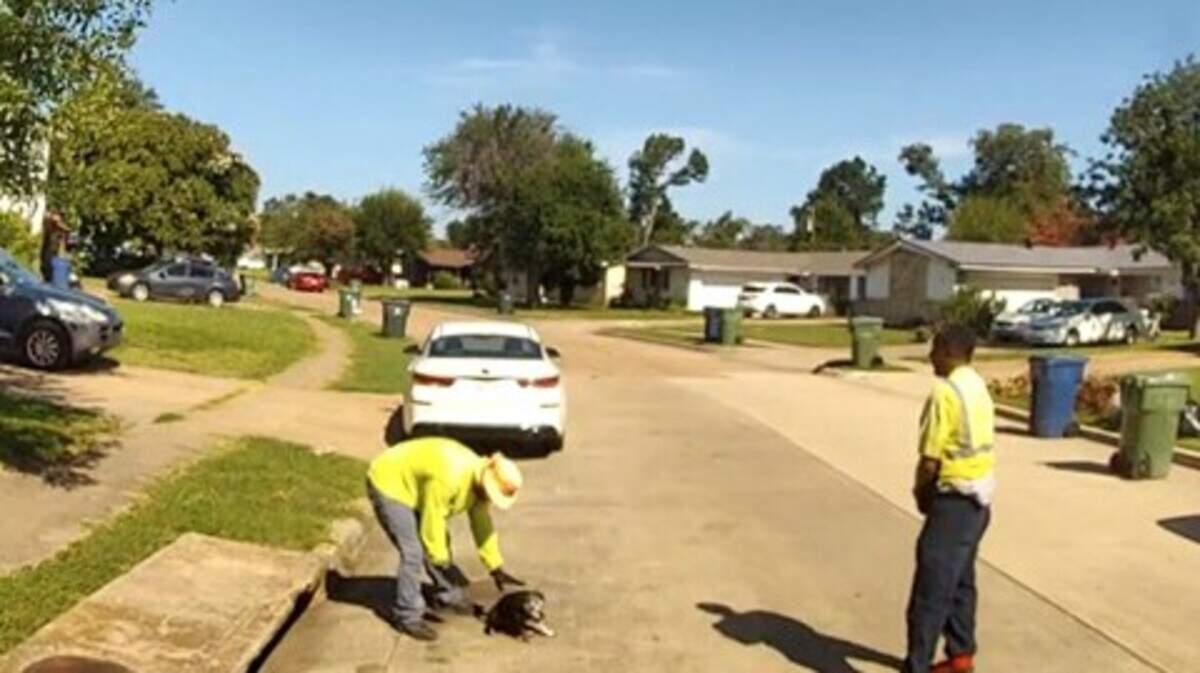 Two Garland sanitation workers saved a dog named Scooby from a storm drain.