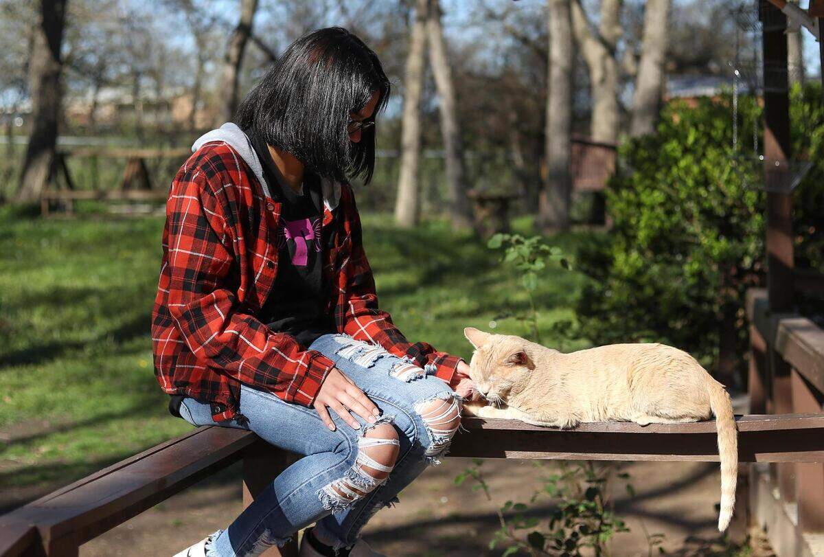 Madison Lechuga, an eighth-grader at Santo Forte Junior High School in Azle, pets a cat on the front porch of her family’s new home on Friday, March 26, 2021, in Azle. Lechuga and her family, who were struggling financially due to COVID-19, lived in two small sheds with no electricity or running water for weeks before an anonymous donor helped find them a home.