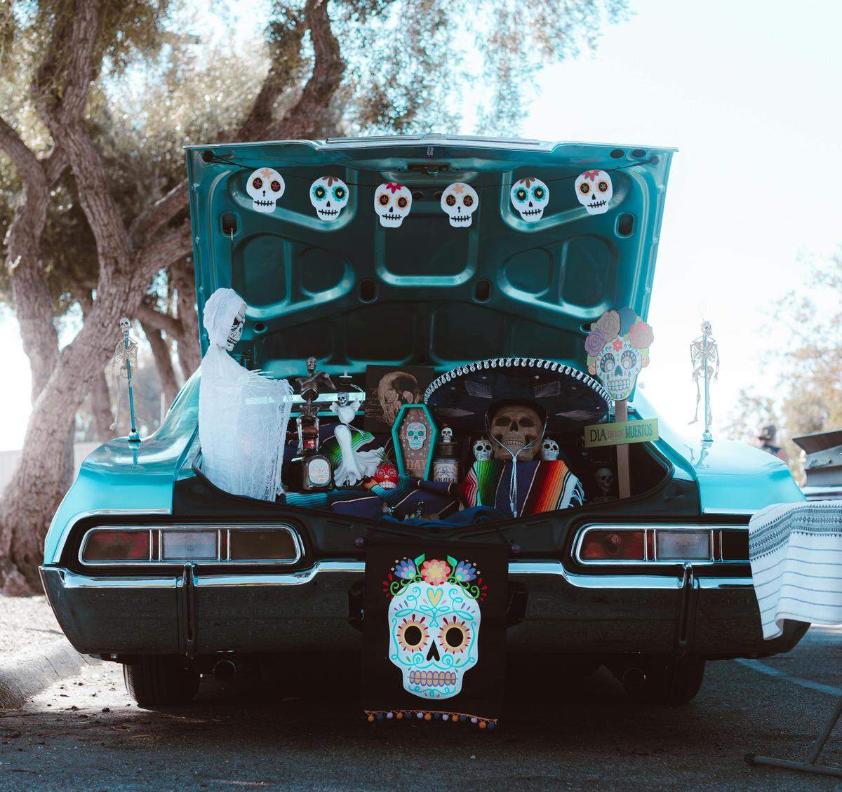 Spooky decorations on a car.