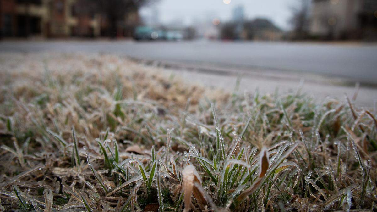 Icy grass on a freezing morning Thursday, Feb. 24, 2022 in downtown Fort Worth.