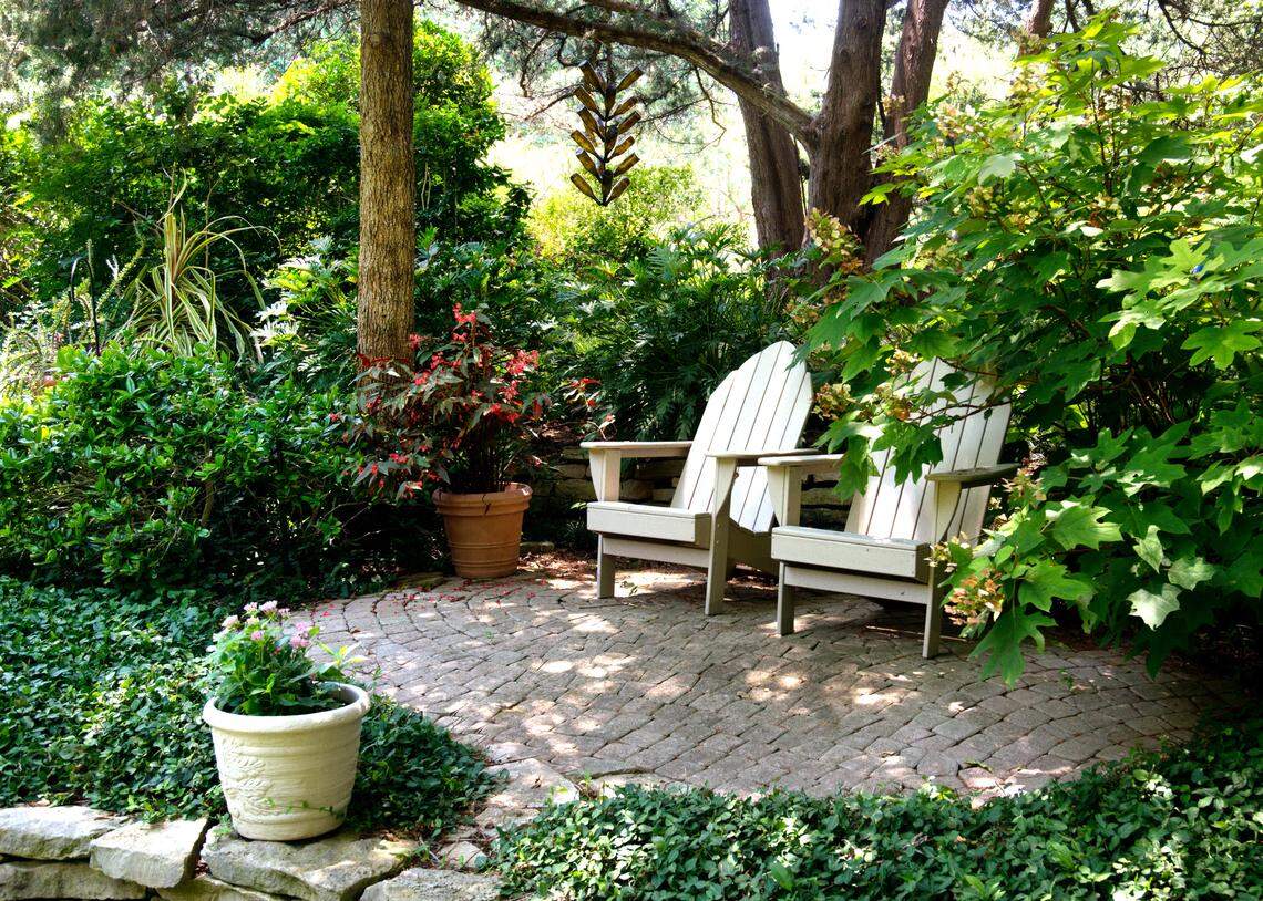 Various types of adapted species clustered together in a natural setting in Sperry side patio.
