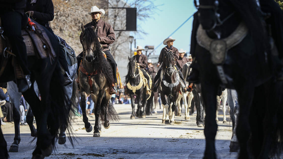 Fort Worth Stock Show and Rodeo cowboys, concerts and competitions: What’s new in ’22