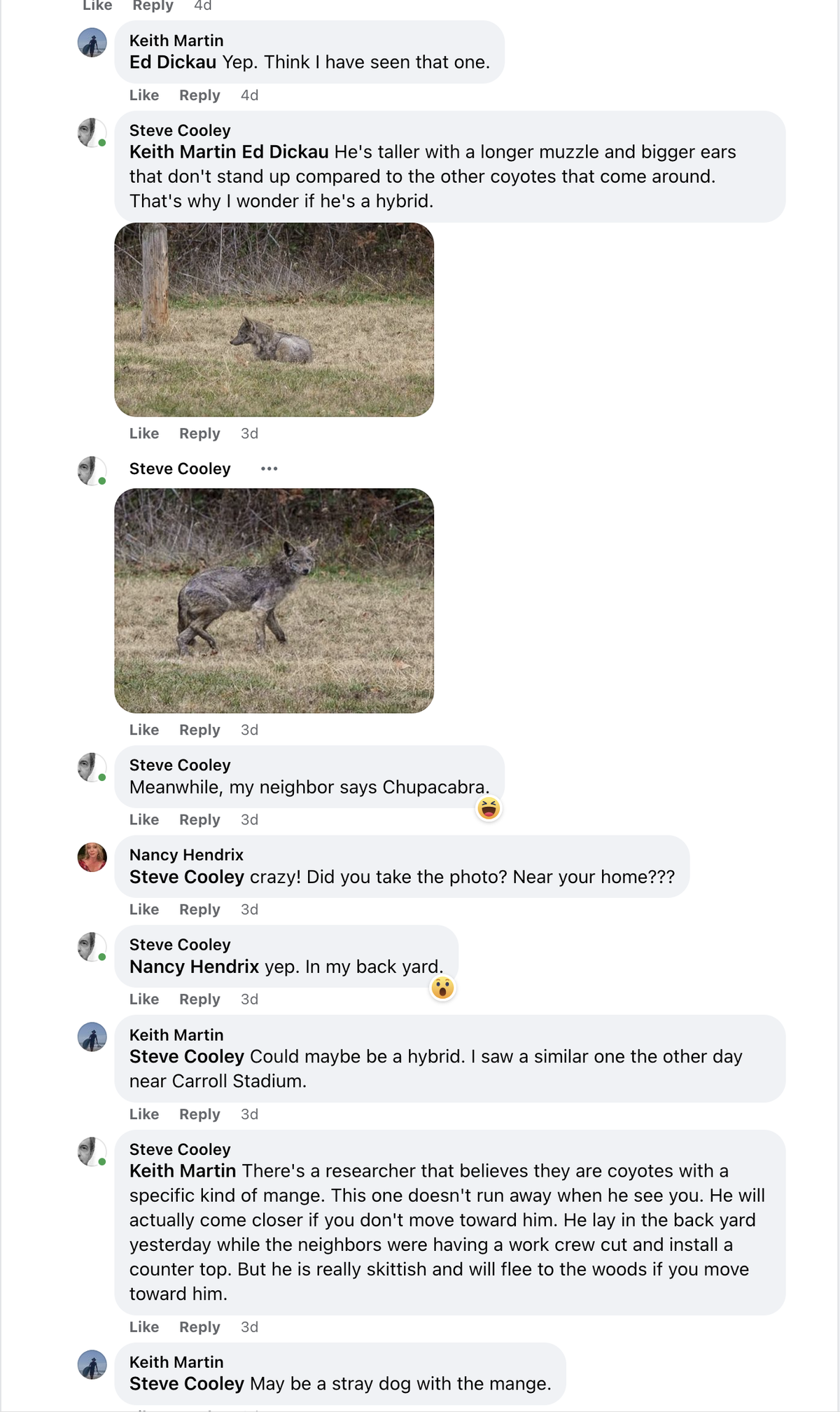 A “chupacabra” was spotted in a Grapevine backyard on June 16.