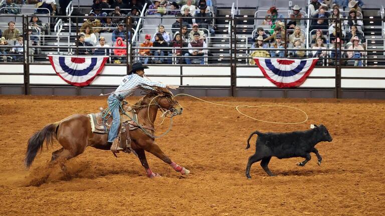 How to get presale tickets for the 2026 Fort Worth Stock Show & Rodeo