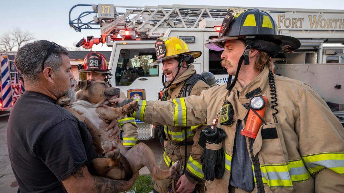 Fort Worth firefighters rescued a dog from a burning home and revived the pet with oxygen while responding to a call on the city’s south side on Friday, Jan. 31, 2025.