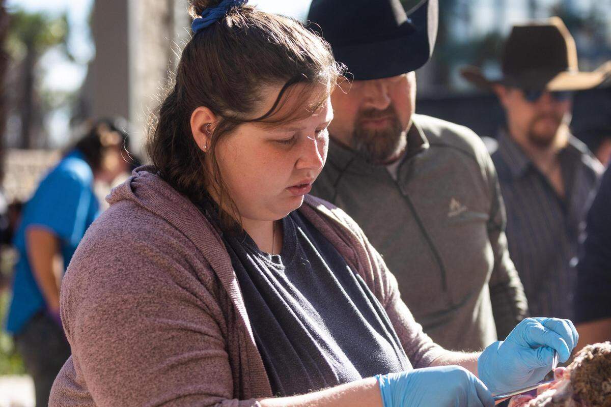 Courtney Jacobs learns how to draw samples for chronic wasting disease (CWD) testing during a class at the Deer Breeding Corp. auction in January 2022 at Horseshoe Bay Resort.