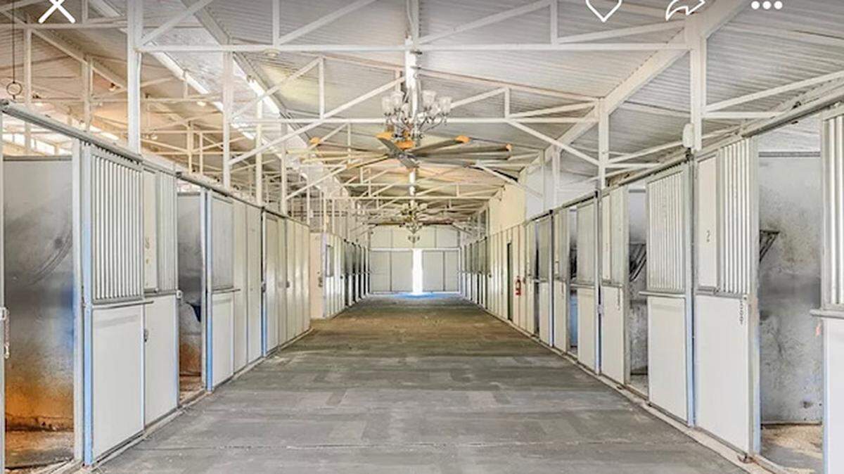 Horse stalls