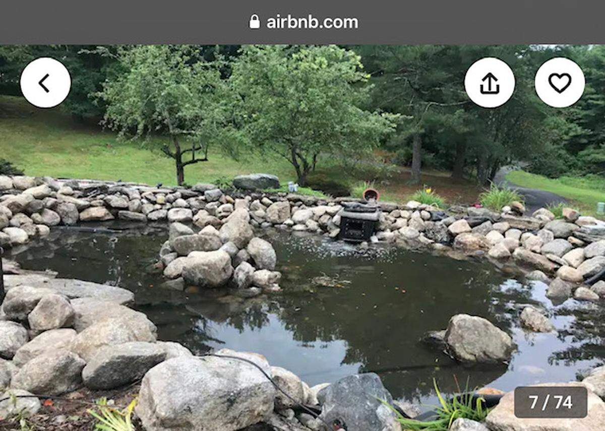 Pond