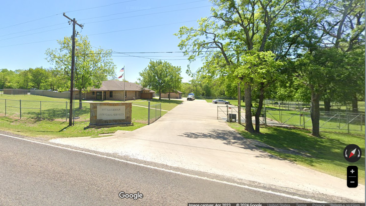 Dogs at one Texas animal shelter are at risk of contracting a “highly lethal” disease with “no cure” after an outbreak, police said.
