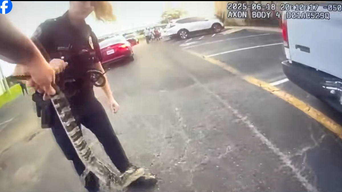 Officers wrangling in the feisty little fella