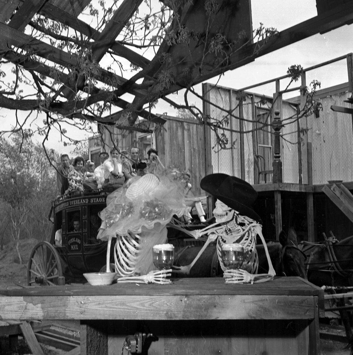 April 18, 1964: Skeletons sitting at a bar in the Western section of Six Flags Over Texas on opening day of 1964.