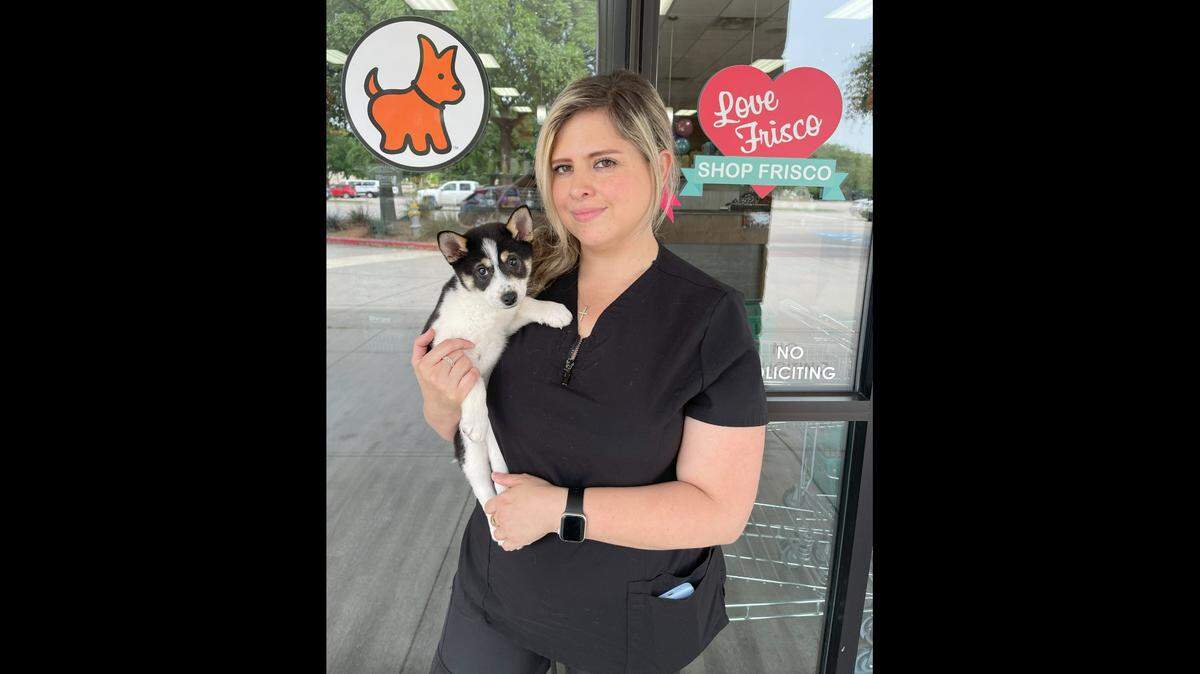 An 11-week-old Shiba Inu puppy that was stolen from a Petland store in Frisco is shown in the arms of kennel manager Marce Narváez after the dog was returned to the pet store.