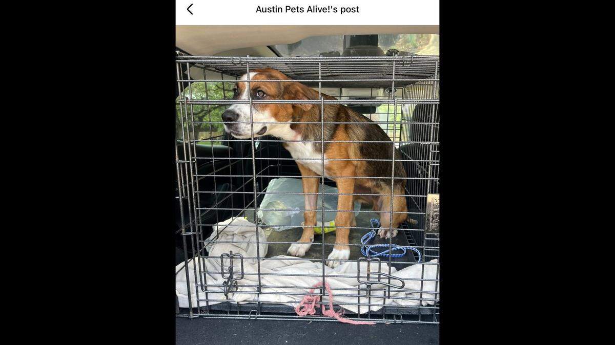 Richard in a crate.