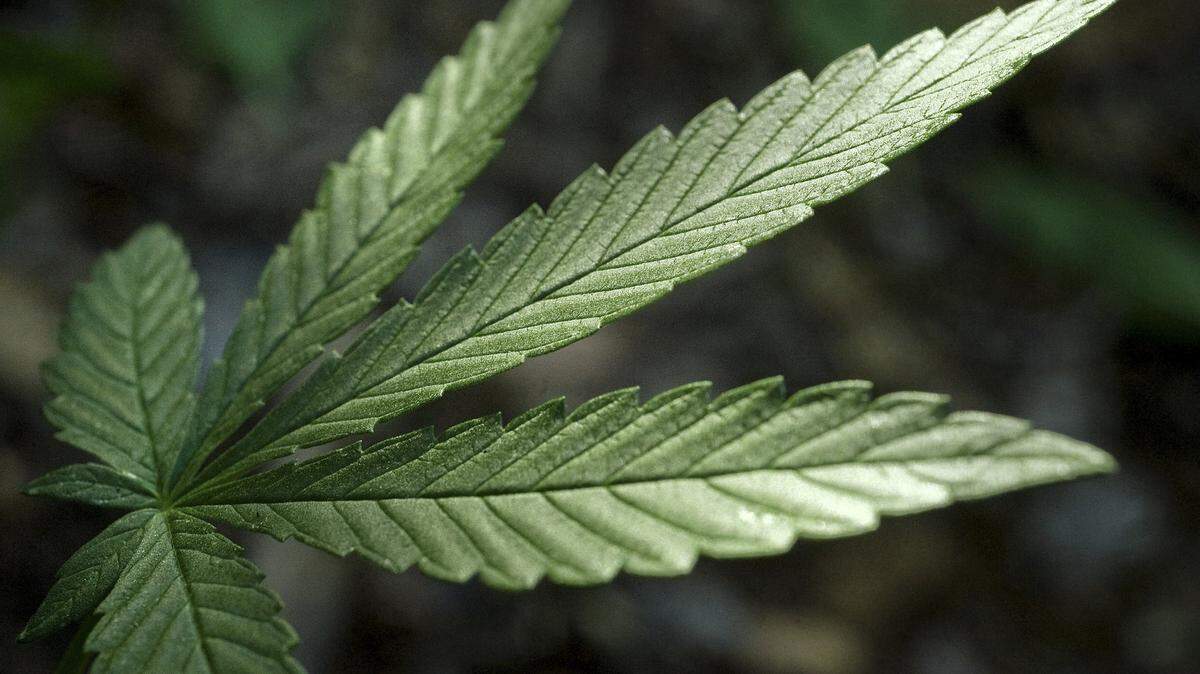 One teen planned to rob another by setting up a fake marijuana deal at a middle school in Waco. It didn't end well.