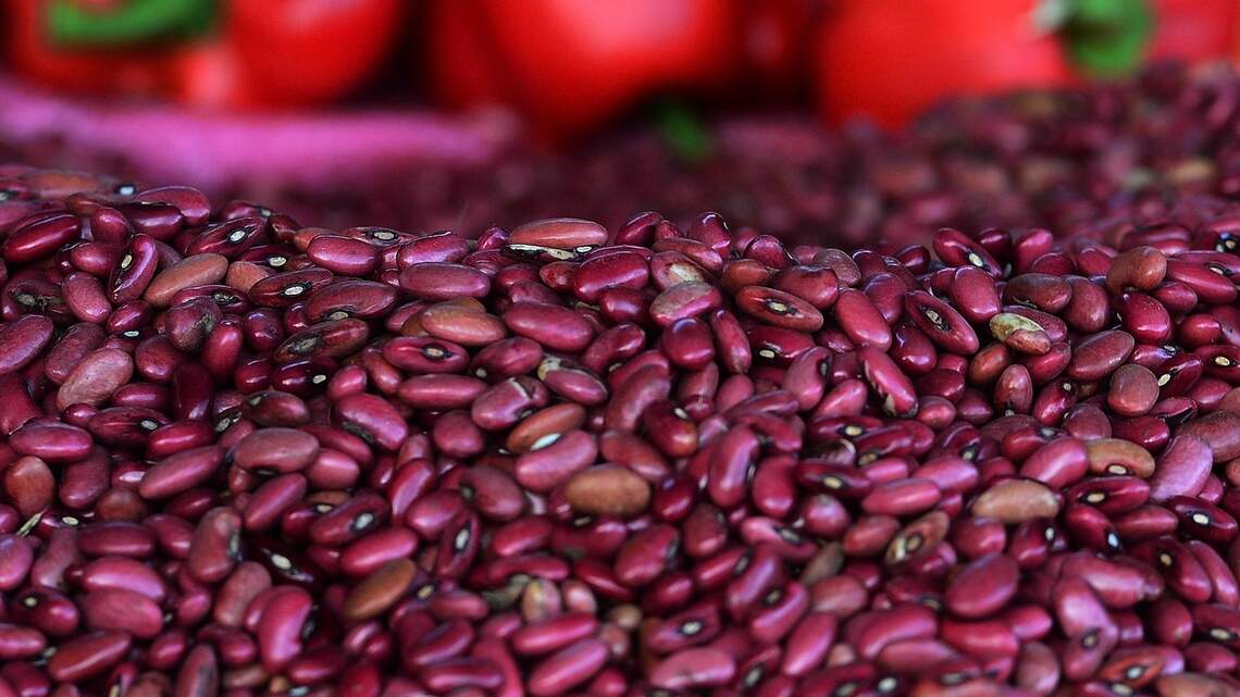 People in Blue Zones eat 4 times more beans than the average American. Is it the key to living longer?