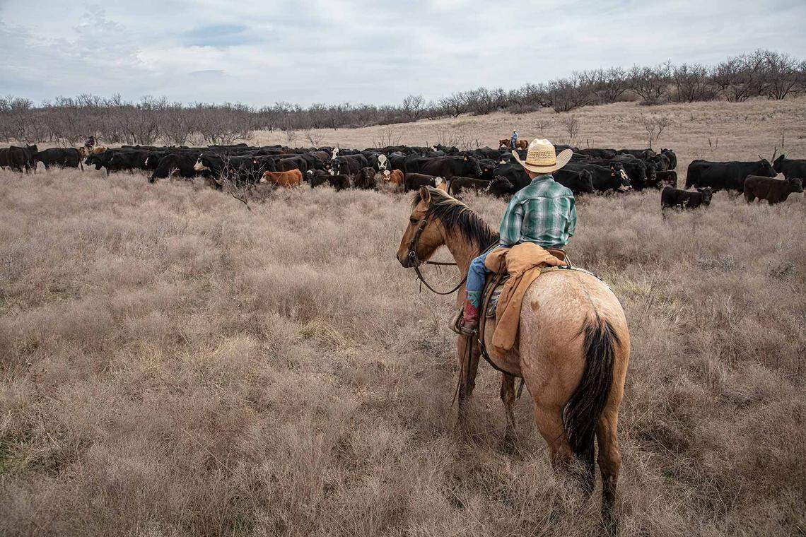 Tecumseh Ranch, located near the Clear Fork of the Brazos River, is up for sale. The ranch is located in southwest Throckmorton County and has been under family ownership for generations.