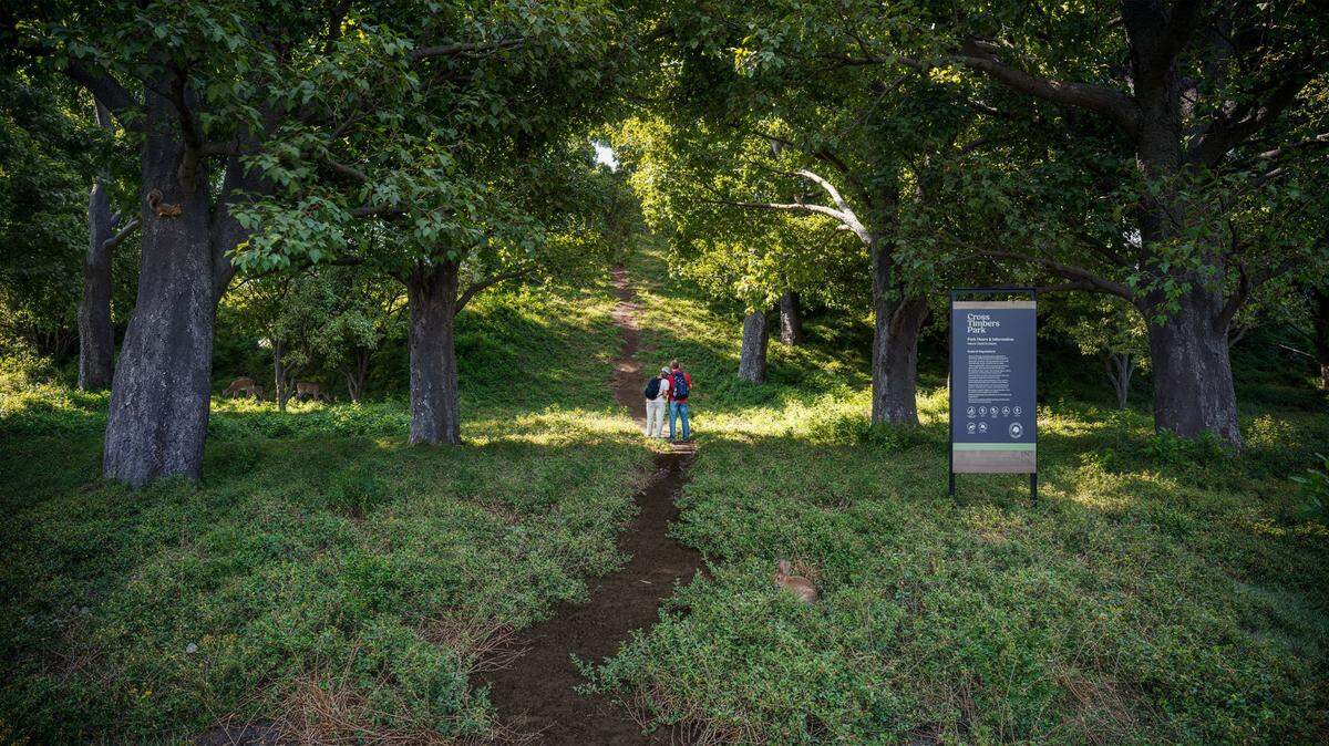 A tree covered hiking trail in the Cross Timbers region of North Texas. 