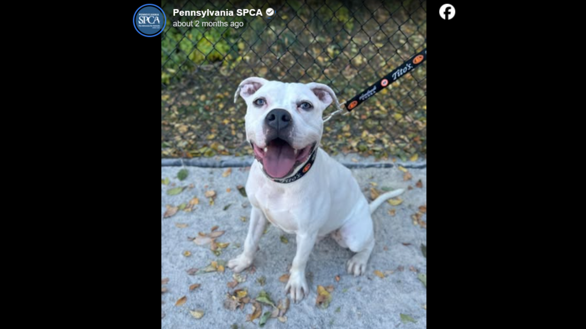 Ang always has a smile on his face.