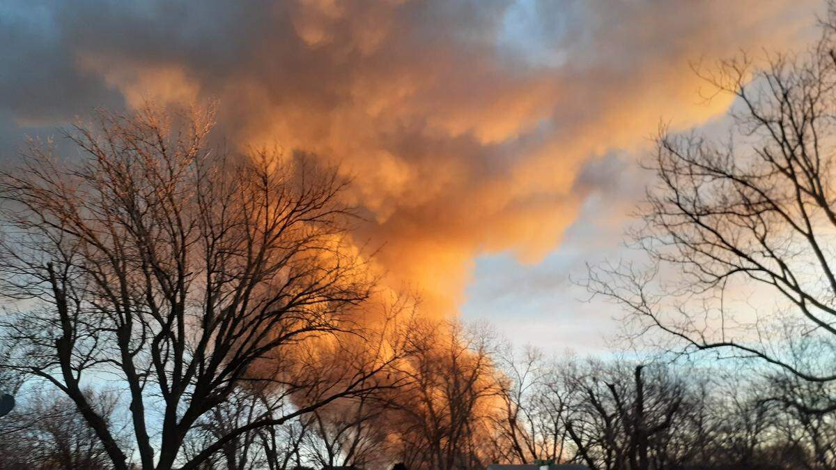 Smoke billowing behind bare trees.