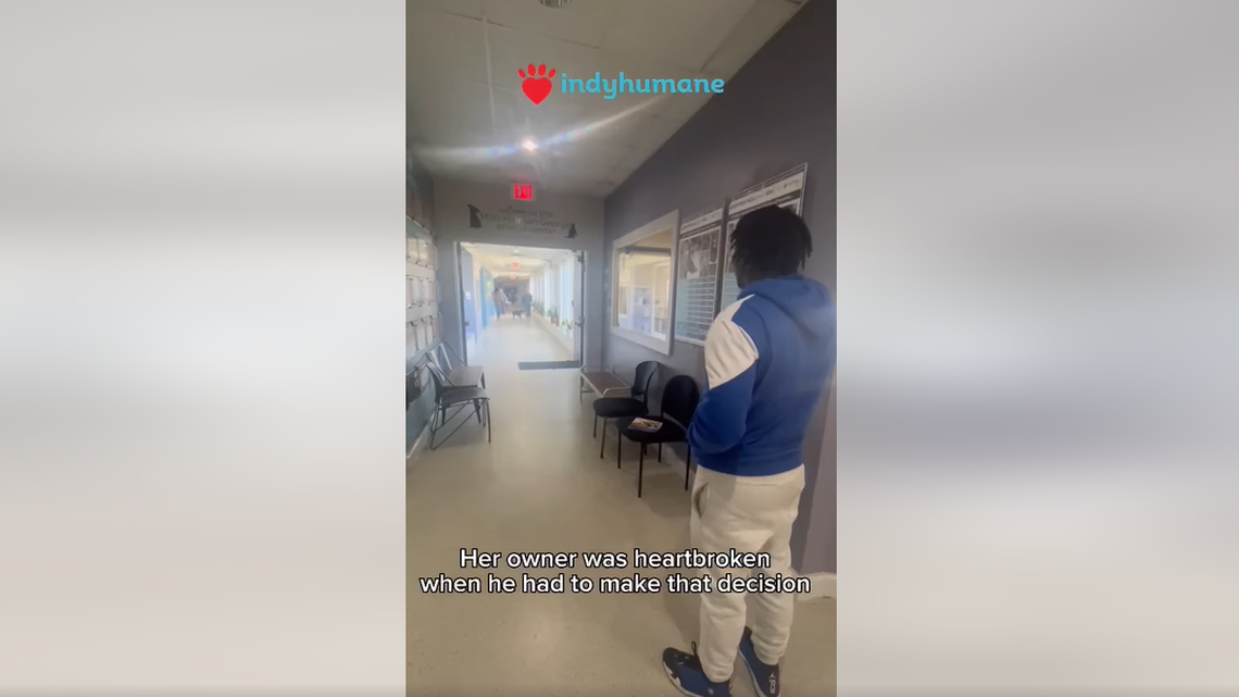 The young man waits for his beloved companion.