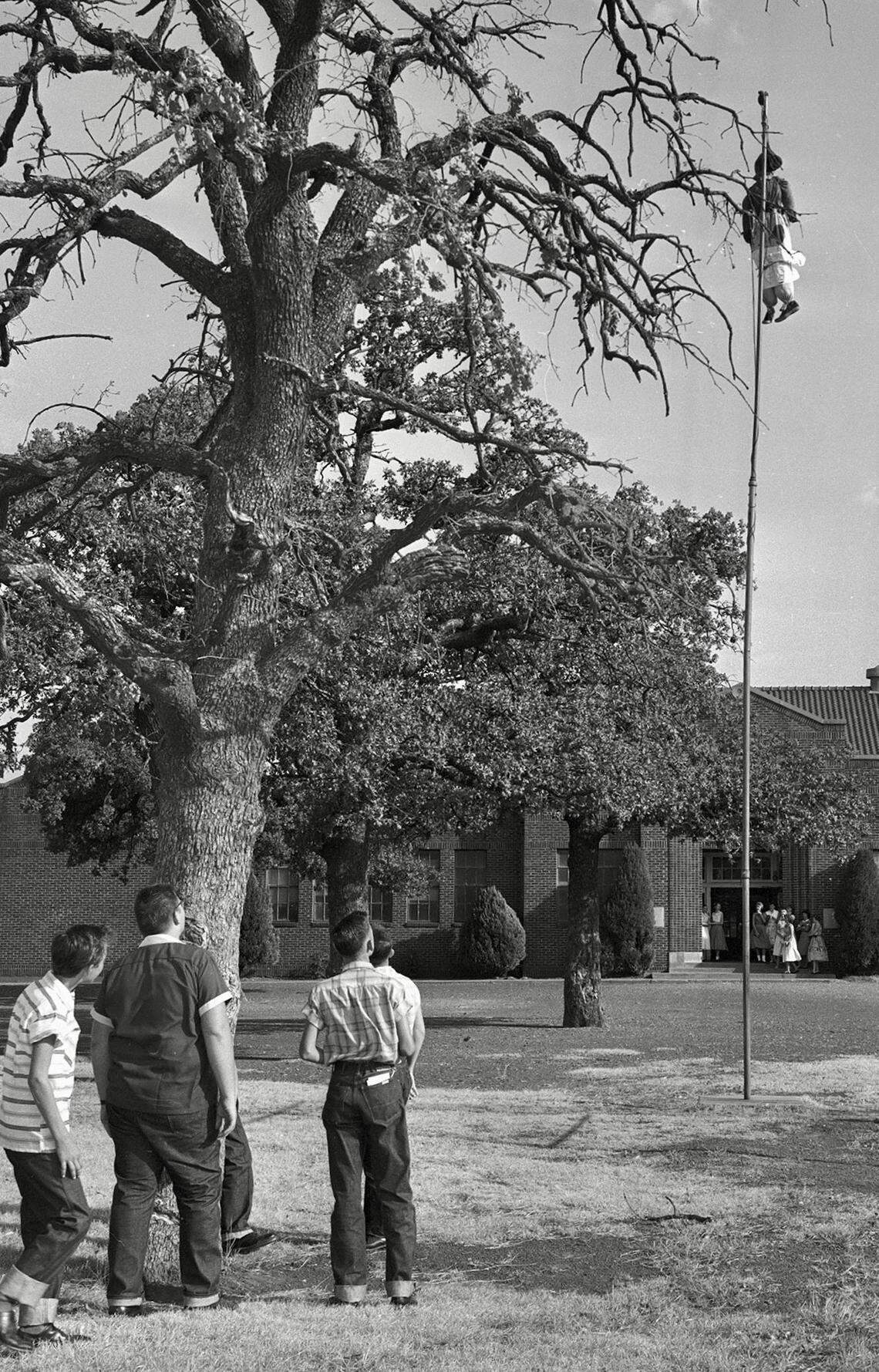 Boys stand near a tree looking at an effigy, the first of two hung at Mansfield High School as only white students enrolled during a 1956 desegregation incident.