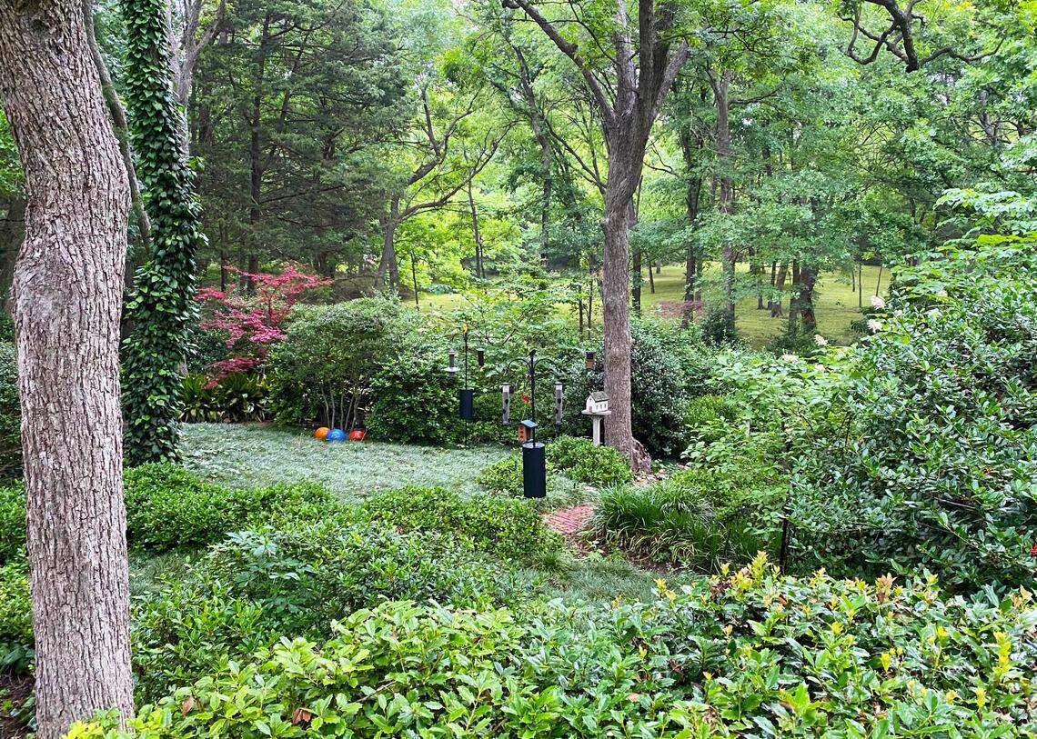 The Sperry landscape plan calls for a different look at all seasons. This is almost same area as the late winter vista.