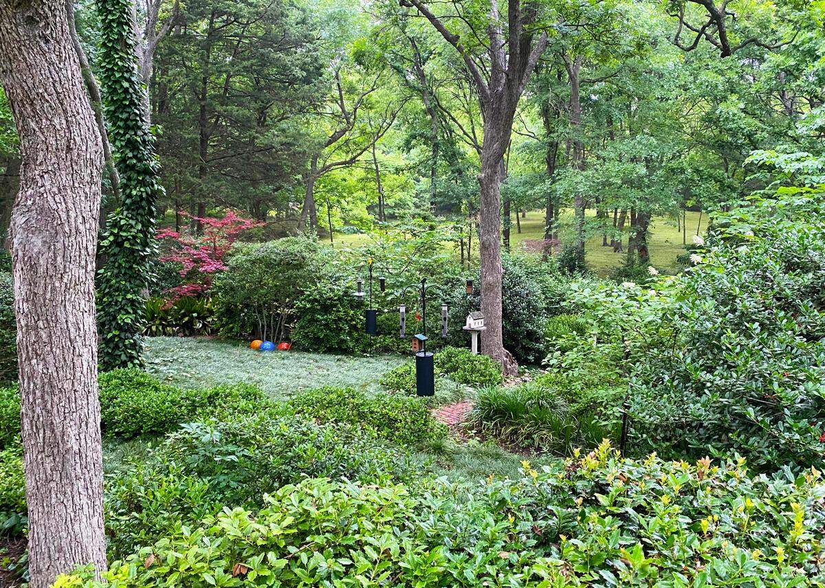 The Sperry landscape plan calls for a different look at all seasons. This is almost same area as the late winter vista.