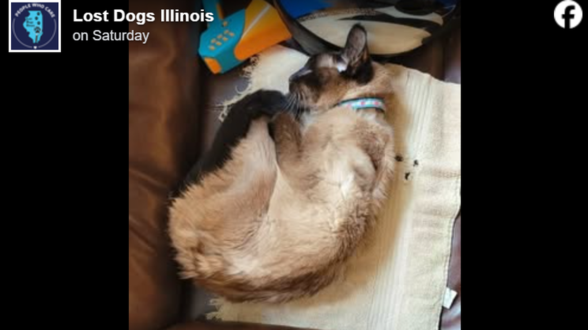 Binks resting up.