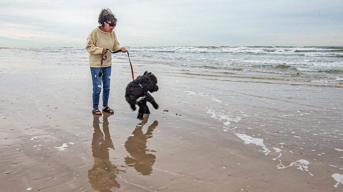 Malaquite Beach inside Padre Island National Seashore near Corpus Christi is a favorite destination for families. Photo taken Wednesday, Nov. 22, 2023.