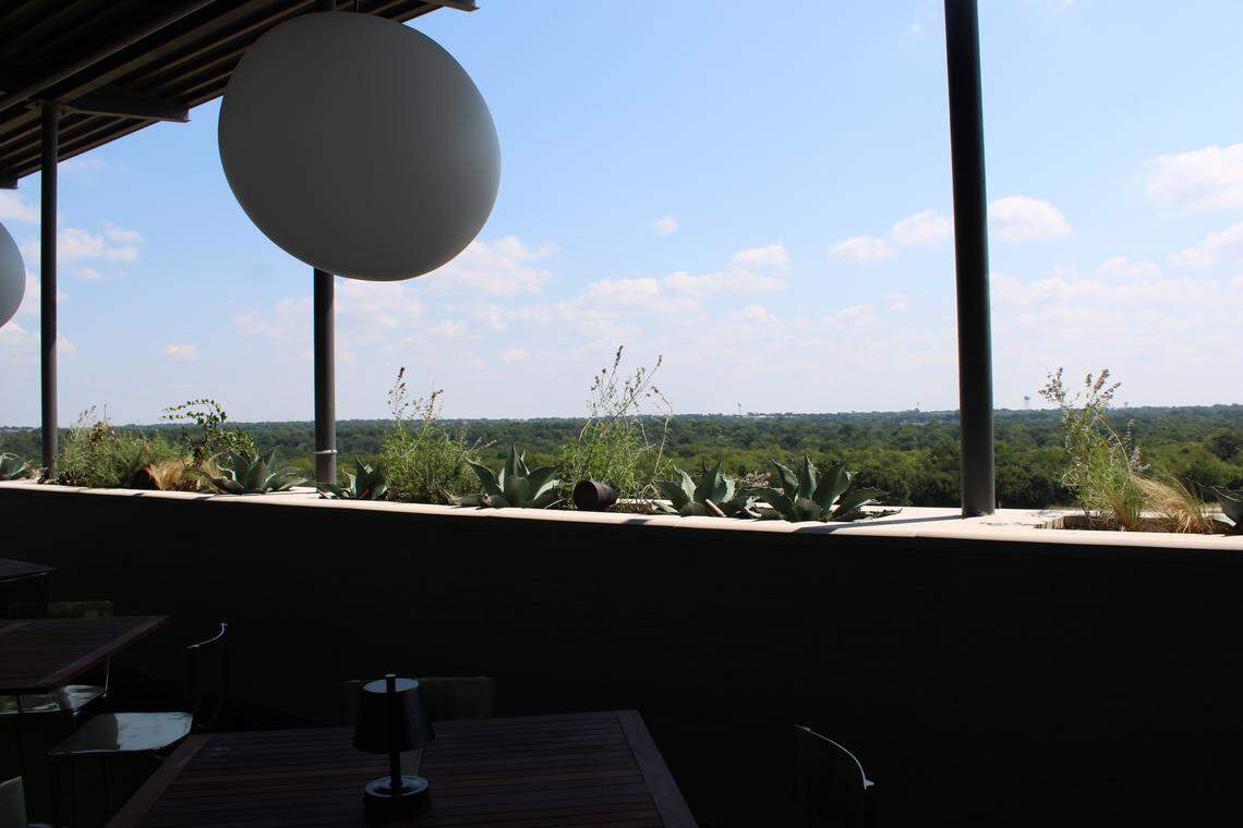 Views of tree tops from The Mont in southwest Fort Worth.