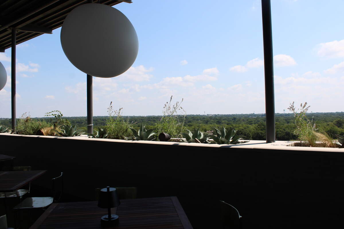 Views of tree tops from The Mont in southwest Fort Worth.