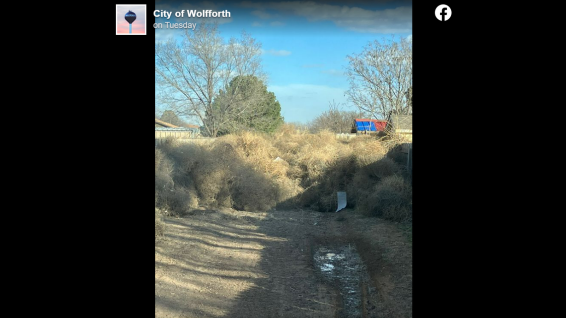 Streets and alleys have been blocked off by piles of tumbleweed.