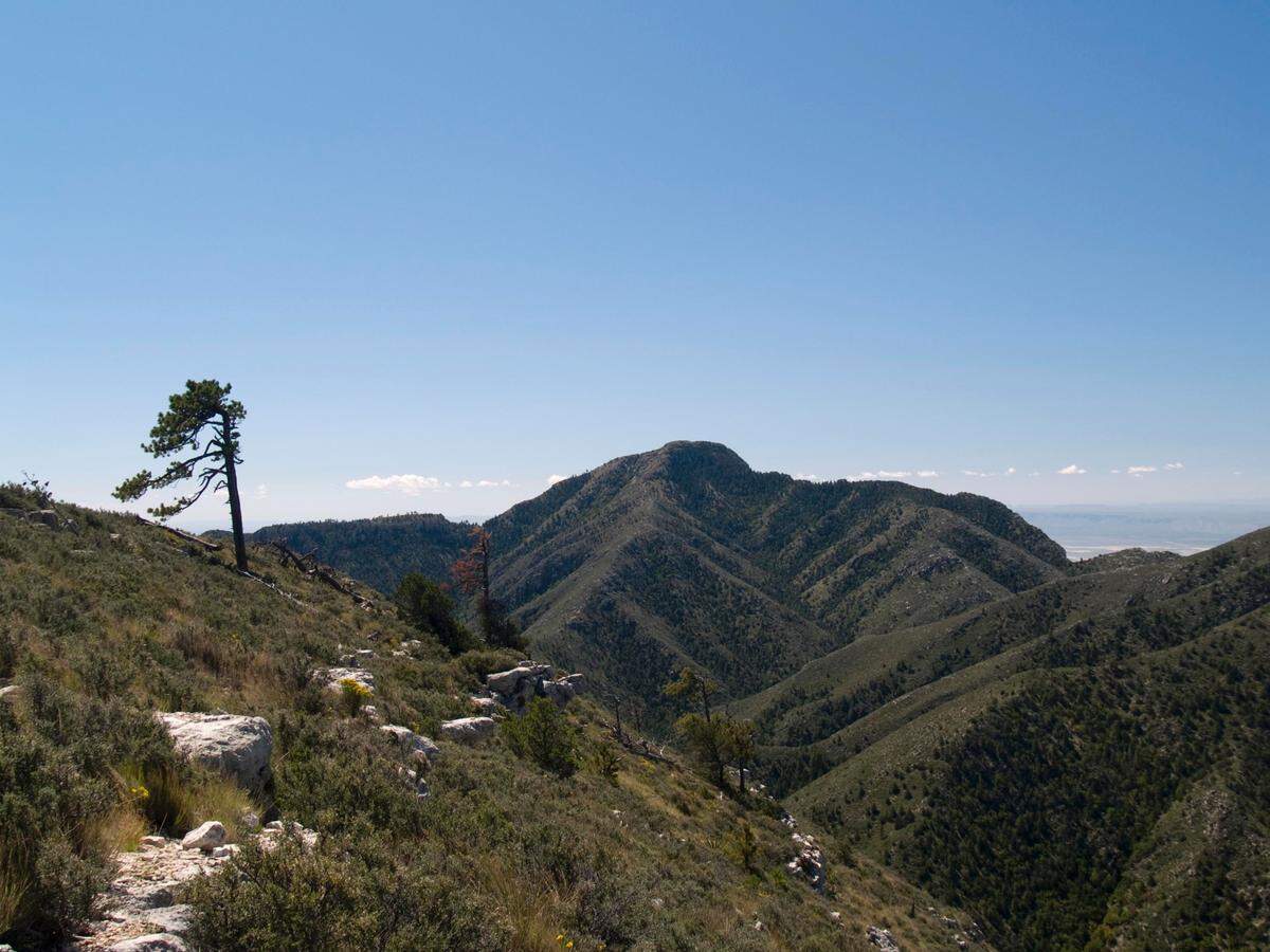 View of Guadalupe Peak across upper Pine Spring Canyon from the Bush Mountain Trail.