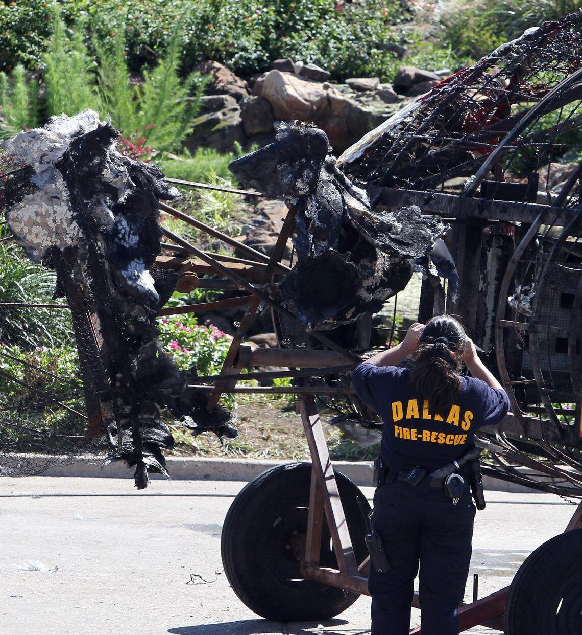 A Dallas fire official takes photographs of what used to be the head of Big Tex as the remains are prepared to be hauled away after the fire at the State Fair of Texas in Fair Park, on Friday, October 19, 2012.