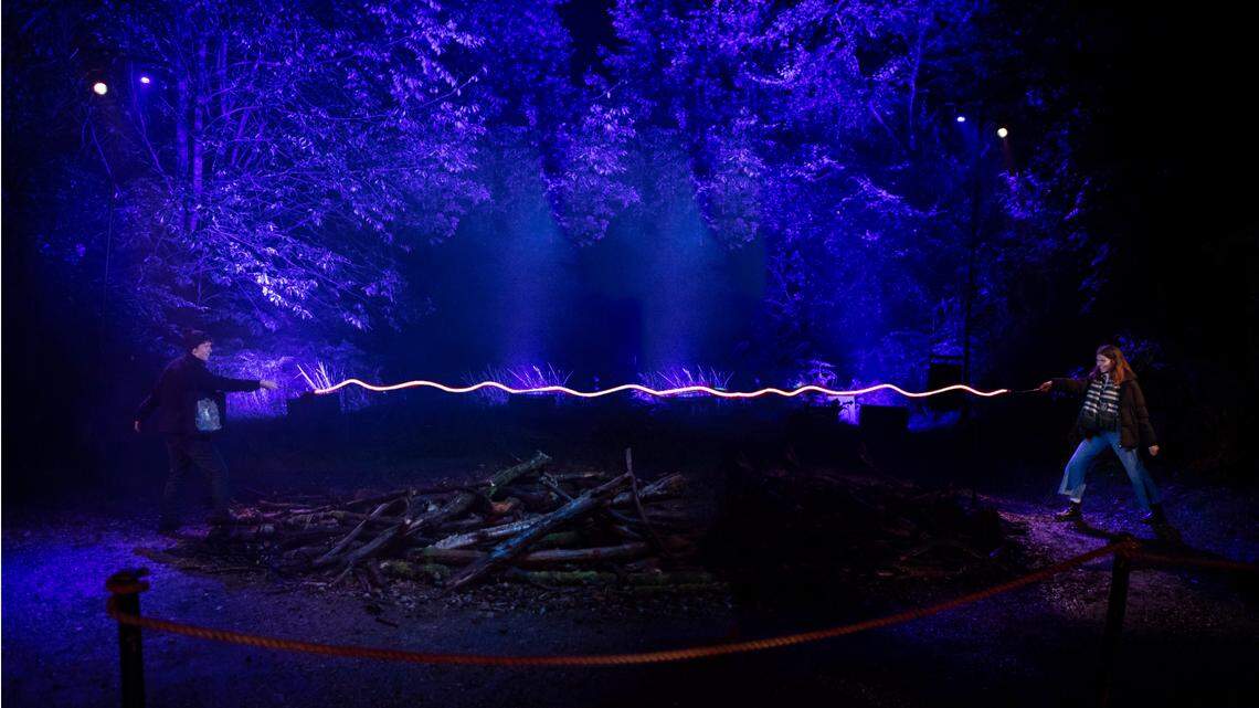 Little Elm Park will soon transform into the Forbidden Forrest for a “Harry Potter”-themed experience.