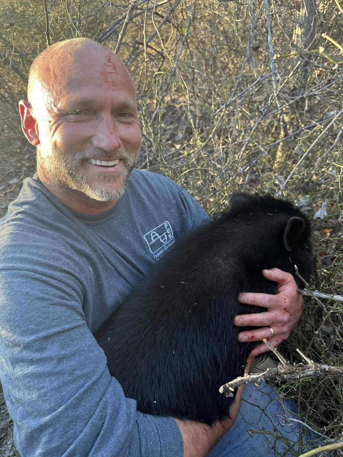 Stephen Mock, who runs a local pig rescue outfit, helped extract Pojo the pig from a thorny patch on the edge of Springtown.