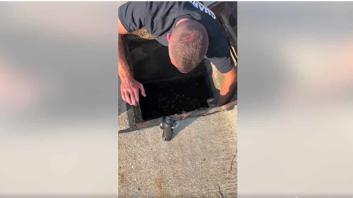 Firefighter Dan McKenna worked quickly to get the little ball of fur free