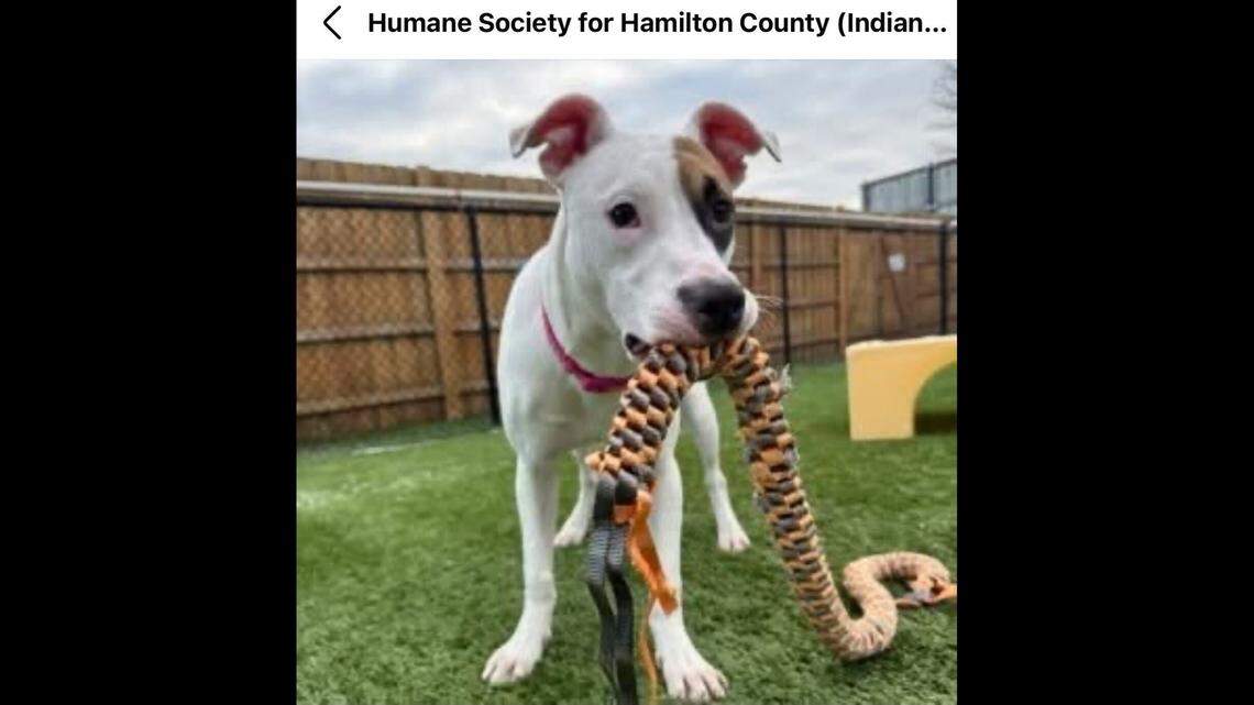 Annette during playtime