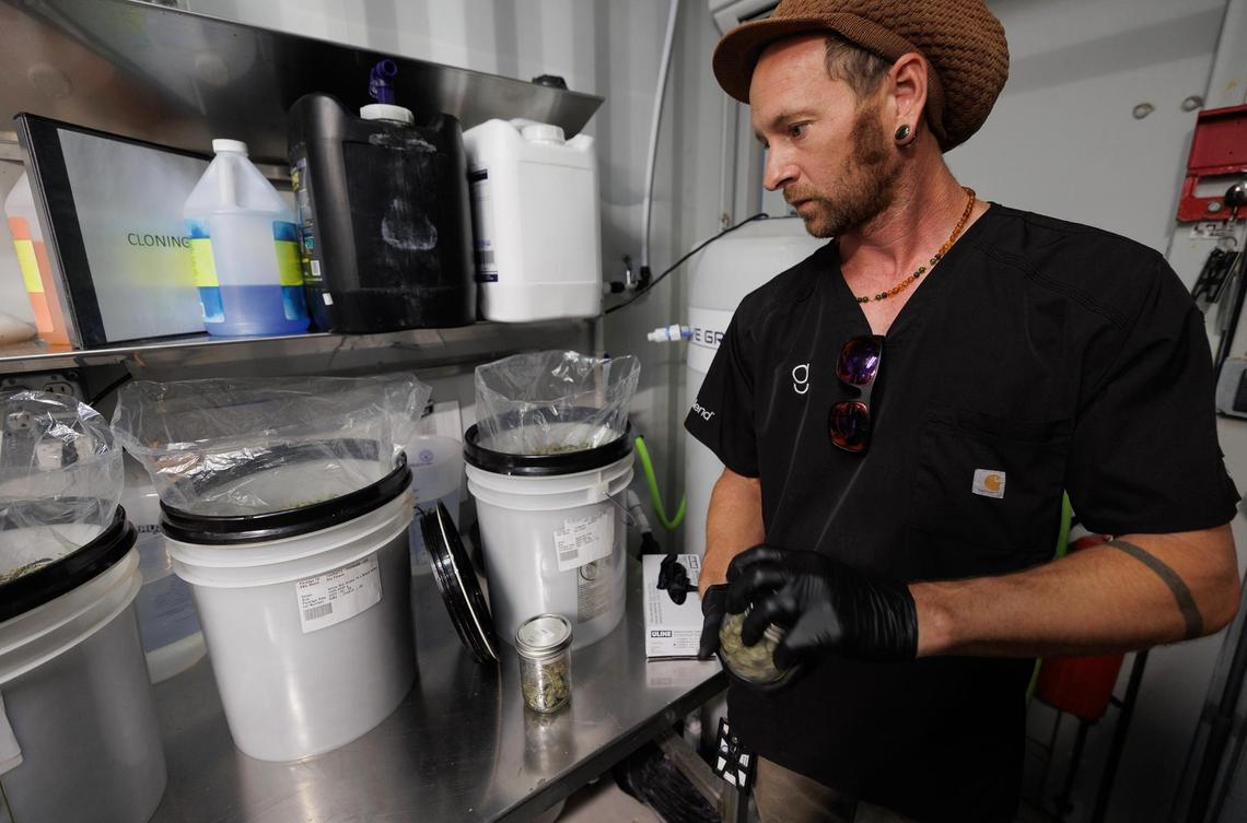 Dillon Dabelgott, senior manager of cultivation at Goodblend, explains how marijuana is grown at the facility during a tour on Thursday, May 1, 2025, in Austin. Goodblend is one of three licensed medical marijuana dispensaries in Texas.