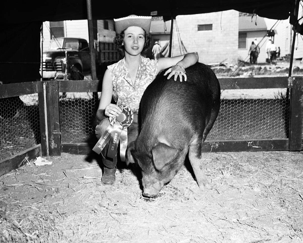 Sept. 13, 1952: Aletha McGowan, daughter of Mr. and Mrs. R.E. McGowan, with her Duroc gilt judged champion at the Keller Fair.