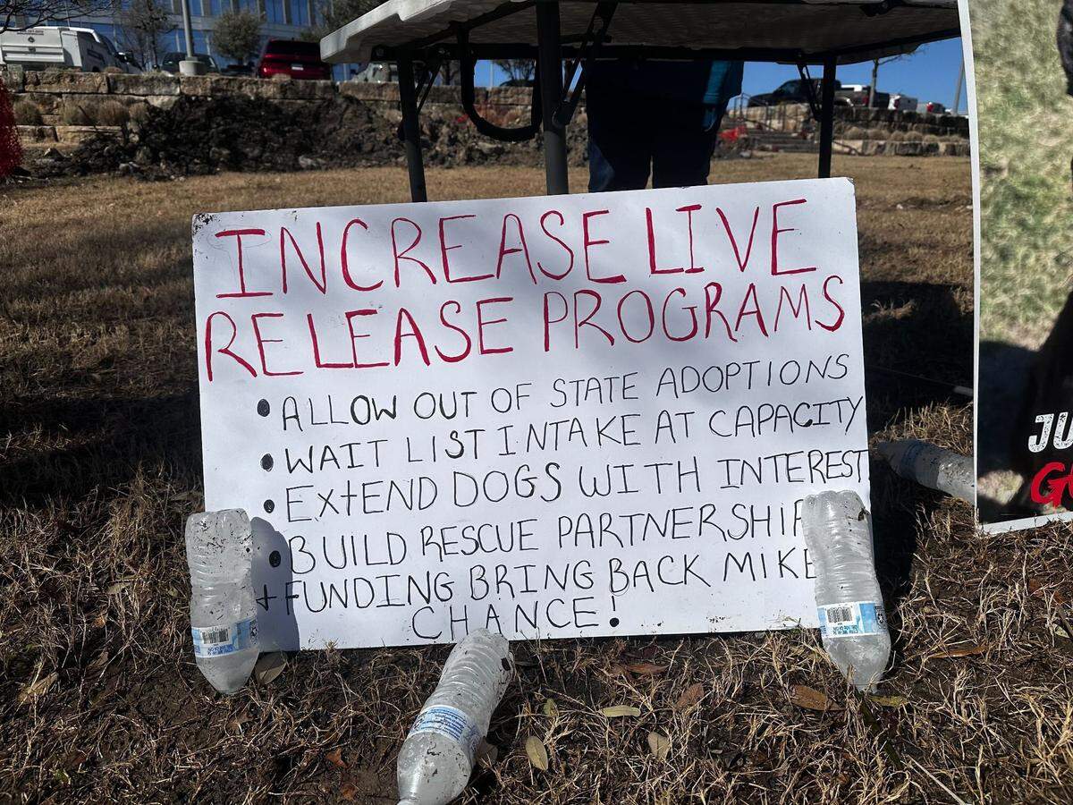 A group of protesters gathered outside Fort Worth City Hall on Tuesday, March 4, demanding improvements in the animal rescue and adoption process.
