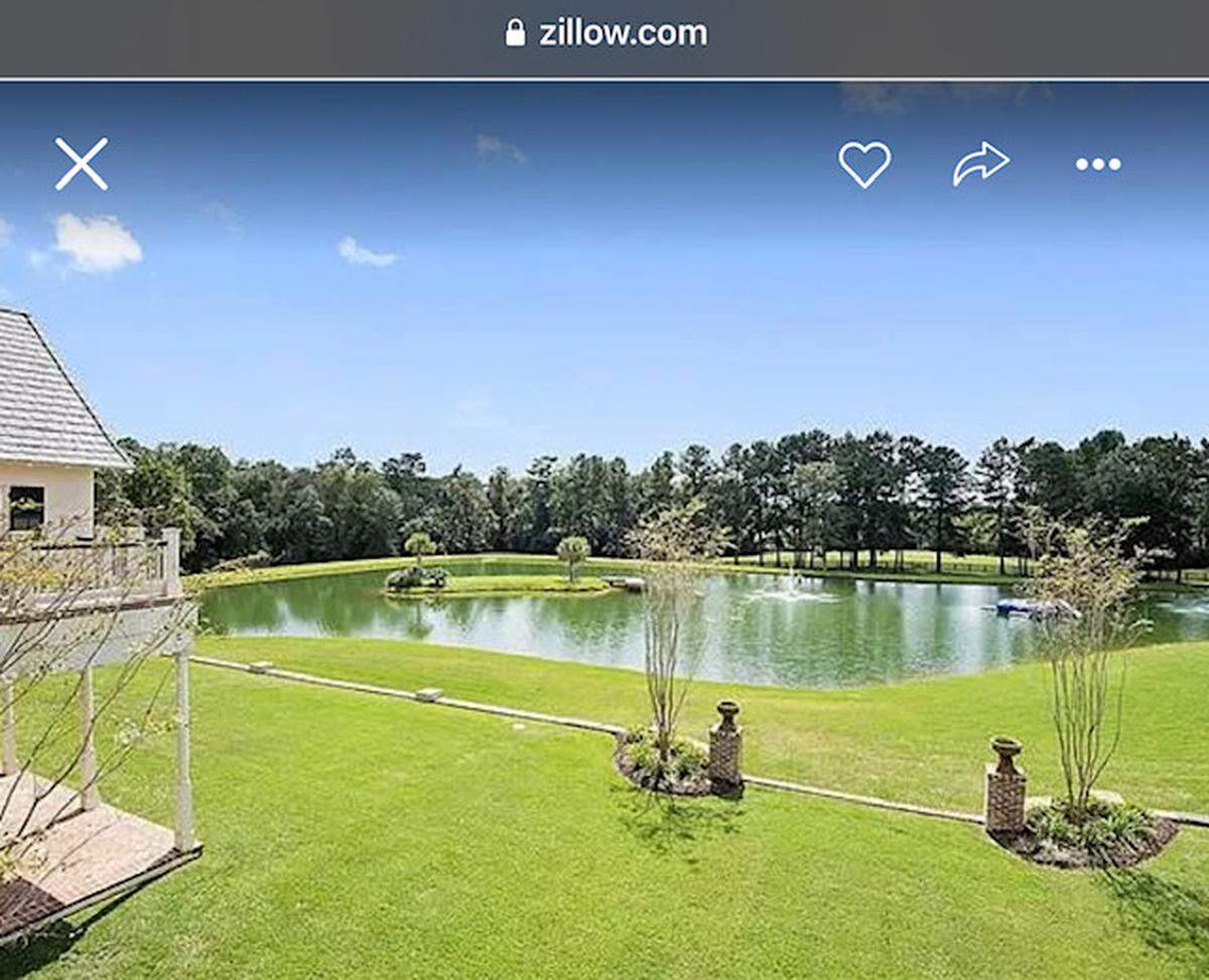 Grounds