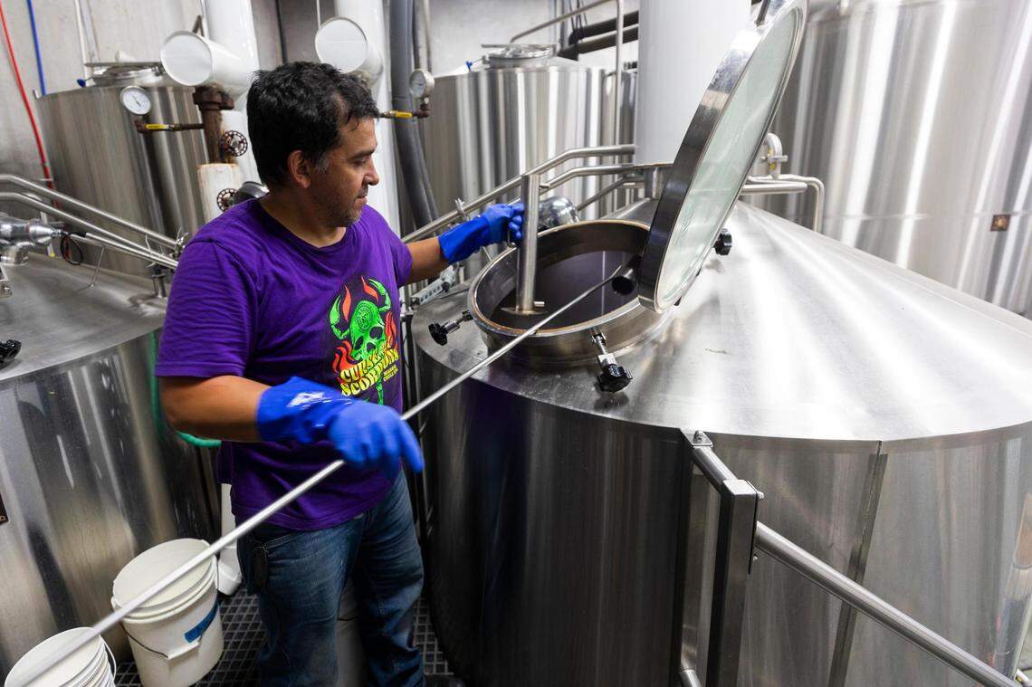 Brian Burton checks temperature and PH balance of a brew at Hop & Sting Brewing Co. on Thursday, May 26, 2022, in Grapevine.