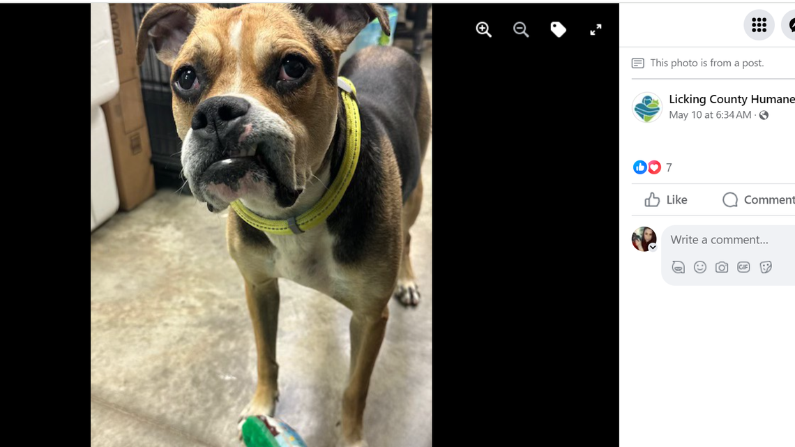 Reuben shows off his Elvis look