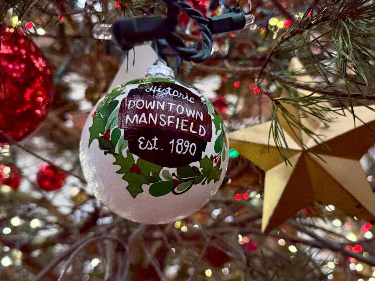 House District 96’s ornament was designed by Maddie Kirksey.