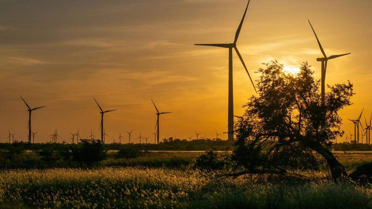 NOLAN, TEXAS - JUNE 28: Wind turbines operate in a field at sunrise on June 28, 2024 in Nolan, Texas. (Photo by Brandon Bell/Getty Images)