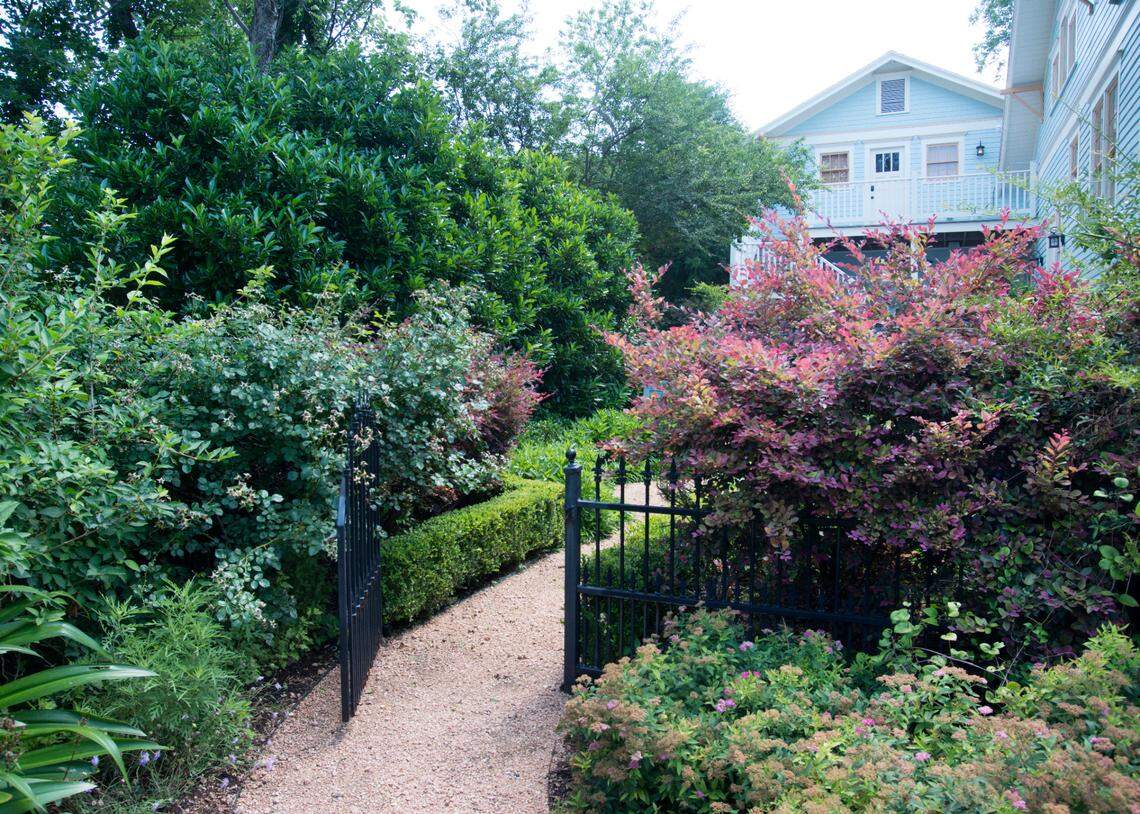 Loropetalums are being used well for contrast here, if they only would hold up in our local soils.