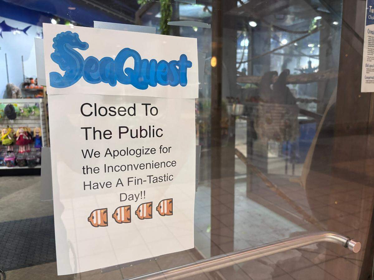 A printed sign hangs on a glass door. Text at the top says SeaQuest in bubbly blue letters, and four clown fish swim beneath the text. Stuffed animals hang on a display in the gift shop beyond the door. 